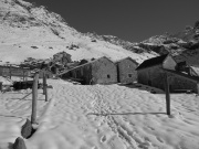 14 Bianco e nero